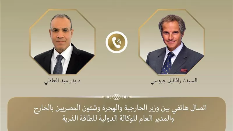 وزير الخارجية يناقش الملف النووي مع مدير 