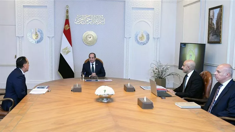 الرئيس السيسي يوجه بزيادة عدد المدارس اليابانية إلى 500