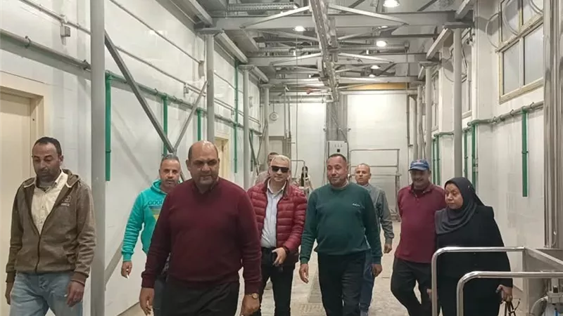 ضربة لتجار السموم.. ضبط 2176 قطعة مواد غذائية 