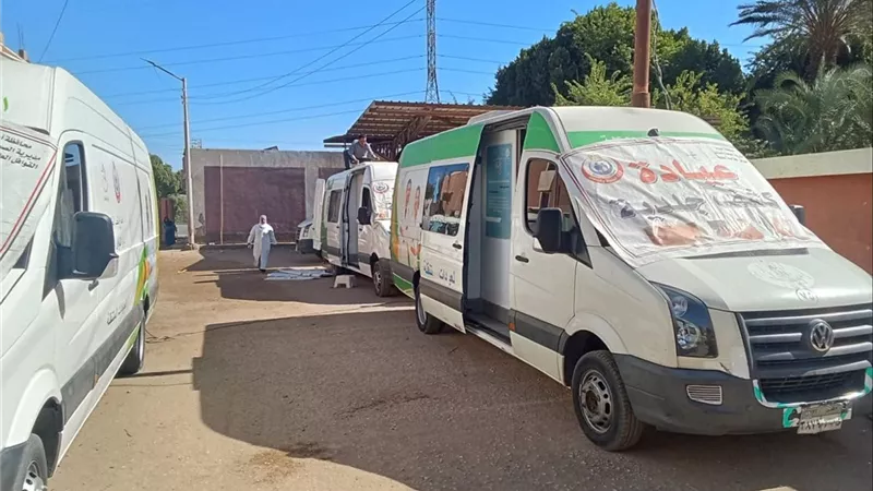 لمدة يومين.. الوادي الجديد تستنفر كوادرها الطبية في الخارجة والداخلة 