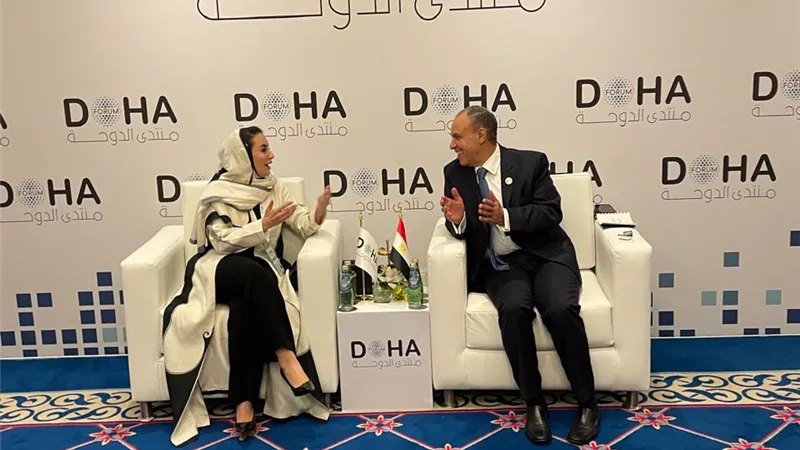 وزير الخارجية: مصر ملتزمة بـ «التحول الرقمي المسؤول»