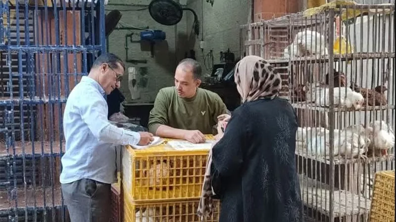 تحرير 138 محضرا وإعدام 590 كجم أغذية فاسدة بالشرقية|صور