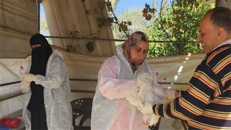 بيطري الإسماعيلية يكثف جولاته لـ 