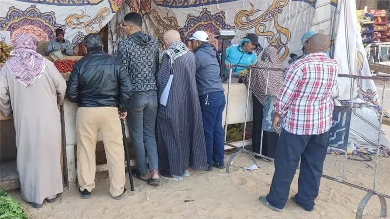 الطماطم بـ5 جنيهات..منافذ سلع مخفضة في الوادي الجديد