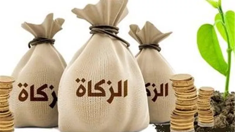 حق الله.. اعرف أهم الأحكام الشرعية لزكاة المال
