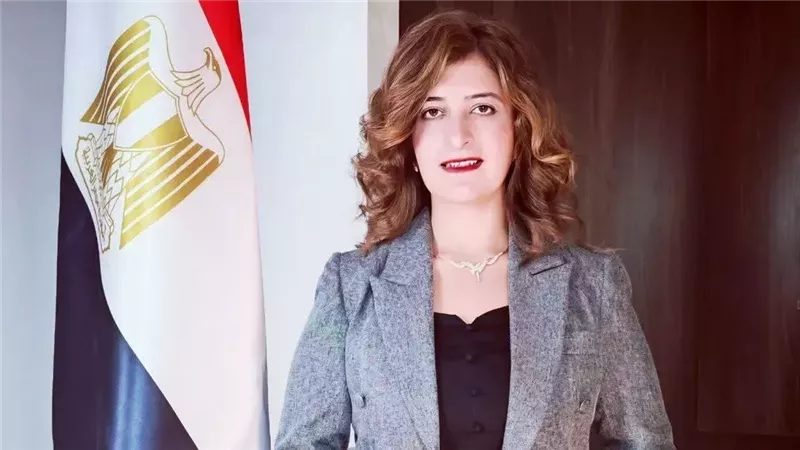  مونيكا مجدي: تعرضت للاعتداء بسبب مستندات «المال السياسي»|خاص