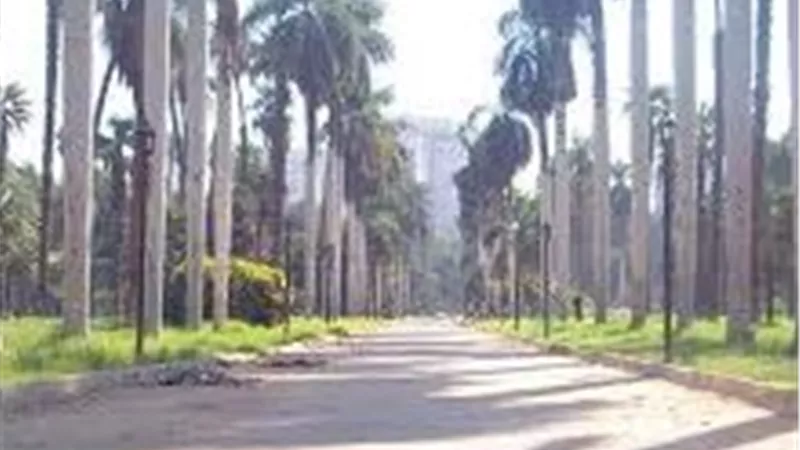 ما هو التطوير الذي تم في حديقتي الحيوان والأورمان؟.. متحدث الوزراء يجيب
