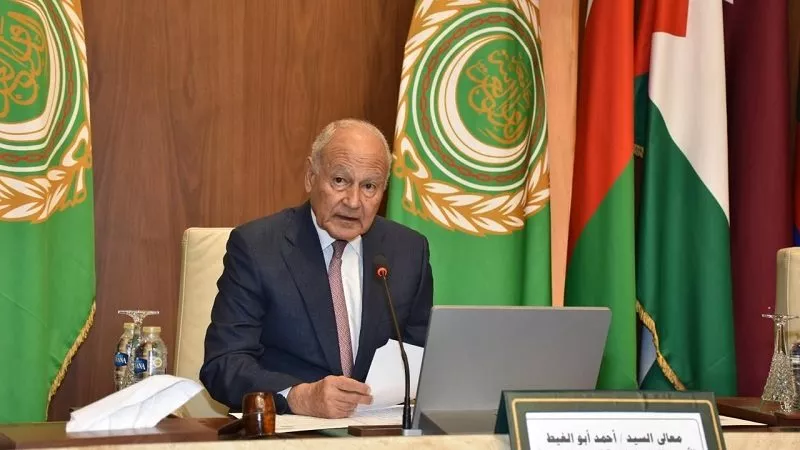 أبو الغيط يحذر: الدول العربية تستورد نحو 50% من احتياجاتها الغذائية|فيديو