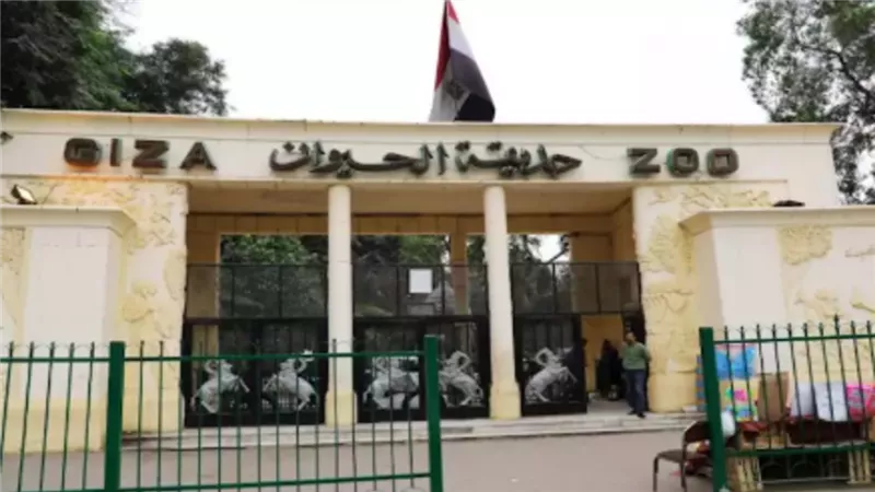  شركة حديقة الحيوان: الانتهاء من ترميم 8 مواقع أثرية بالحديقة