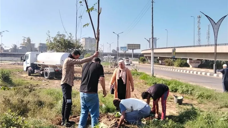 وزيرة التنمية المحلية تتابع تطورات المبادرة الرئاسية 100 مليون شجرة