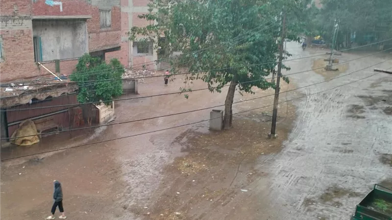 أمطار وانخفاض درجة الحرارة وطوارئ في القليوبية