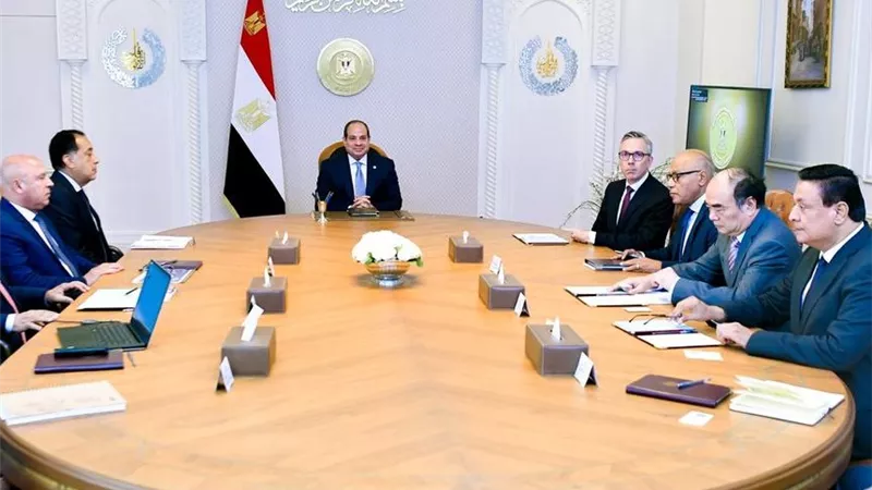 الرئيس السيسي يبحث مع مسؤولي «سكاتك» و«صنجرو» تعزيز الاستثمارات في مجالات الطاقة
