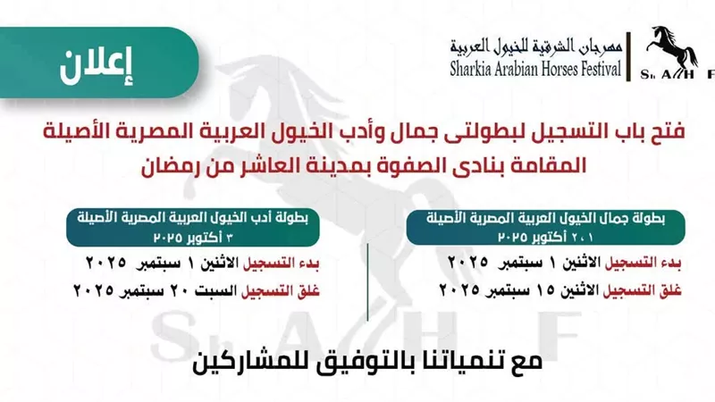 استعداداً لانطلاق مهرجان الشرقية للخيول.. غلق باب التسجيل لبطولة جمال الخيل غداً 