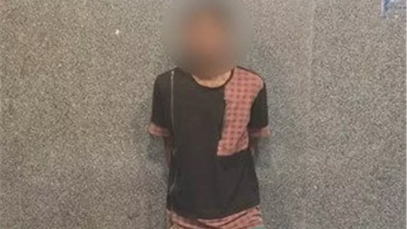 بطل فيديو«البلطجة» بالمطرية فى قبضة «الأمن»    