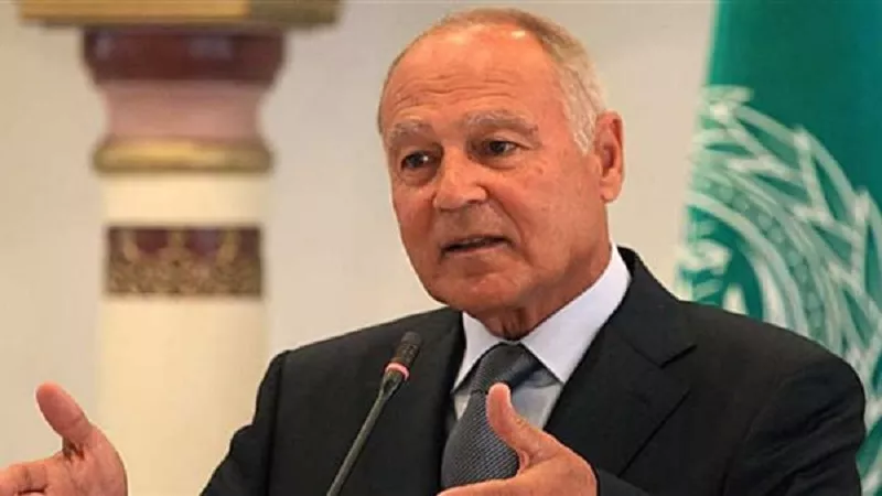 أبوالغيط: 