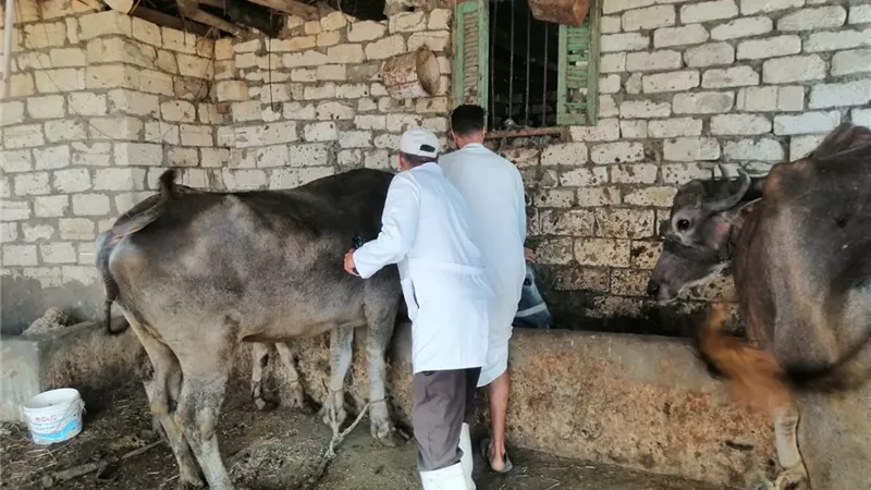 محافظ الإسماعيلية يتابع أنشطة مديرية الطب البيطري 