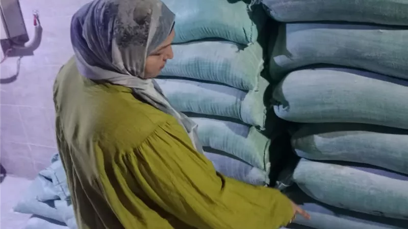 الوحدة المحلية بكفر الشيخ بالتعاون مع التموين تحرر 11 محضر للمخابز المخالفة 