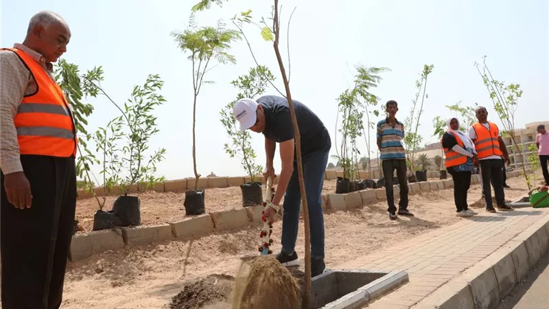 محافظ أسوان يُطلق فعاليات حملة التشجير بطريق السادات  لزراعة ألفين شجرة ظل مزهرة