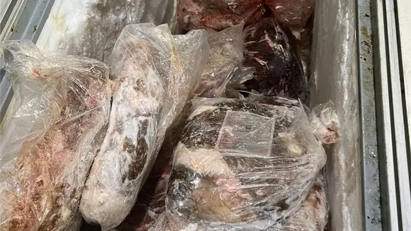 صحة الدقهلية: إعدام 1.8 طن أغذية فاسدة في حملات مفاجئة لحماية المواطنين |صور