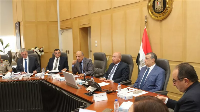 بحضور 5 وزراء.. الأعلى للطاقة يناقش تسريع توفير الكهرباء والغاز للمشروعات الصناعية 