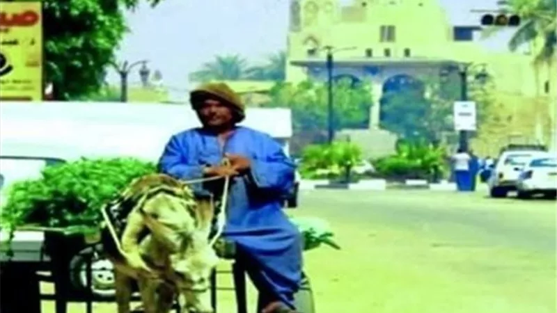 بعد شكاوى المرشدين السياحيين.. القبض على أشهر متسول في الأقصر