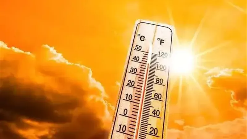 غدًا..  طقس حار نهارًا معتدل ليلًا.. والعظمى بالقاهرة 35