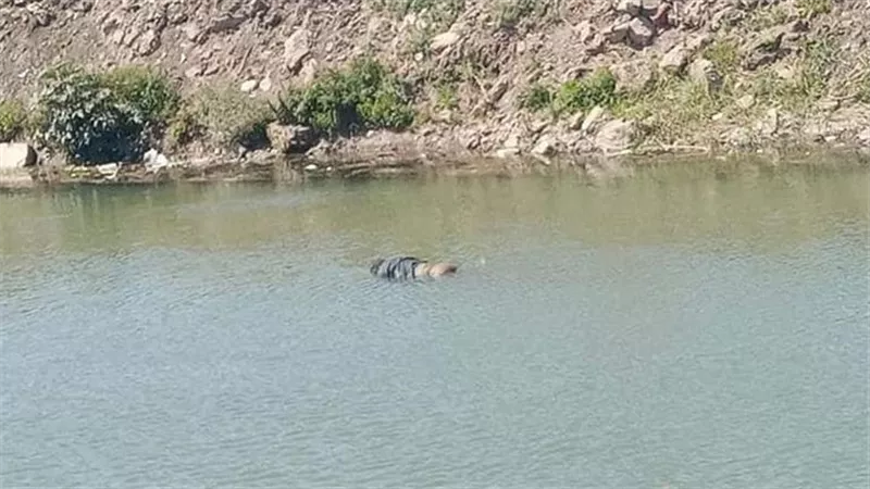العثور على جثة طافية على سطح المياه في الشرقية