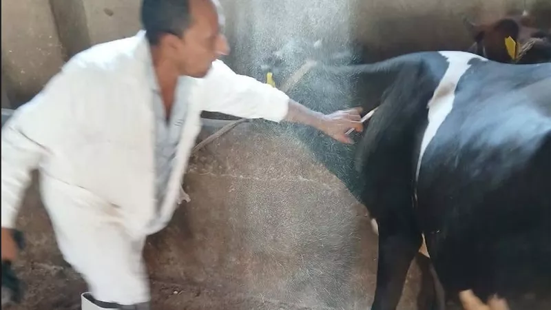 للحفاظ على الثروة الحيوانية.. زراعة الشرقية تتابع تحصينات مرض الحمى القلاعية |صور 