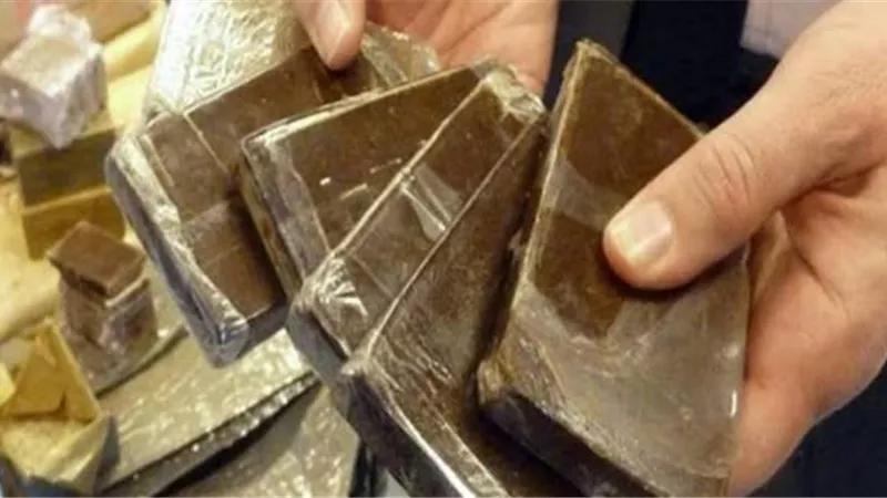 ضربة أمنية.. سقوط تاجر مخدرات بحوزته 850 طربة حشيش في الصف