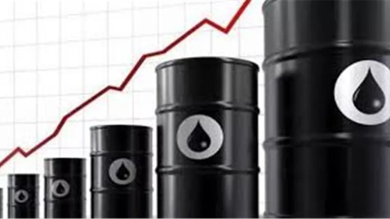 بـ 1.087 مليار دولار .. بتروجت تفوز بعقد تطوير حقل حاسي ركايز بالجزائر 