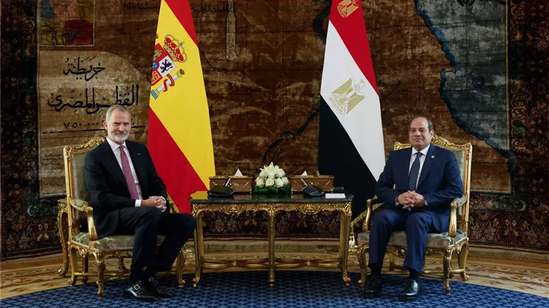 القصر الملكي يحتفي بلقاء ملك إسبانيا بالرئيس السيسي «صور»