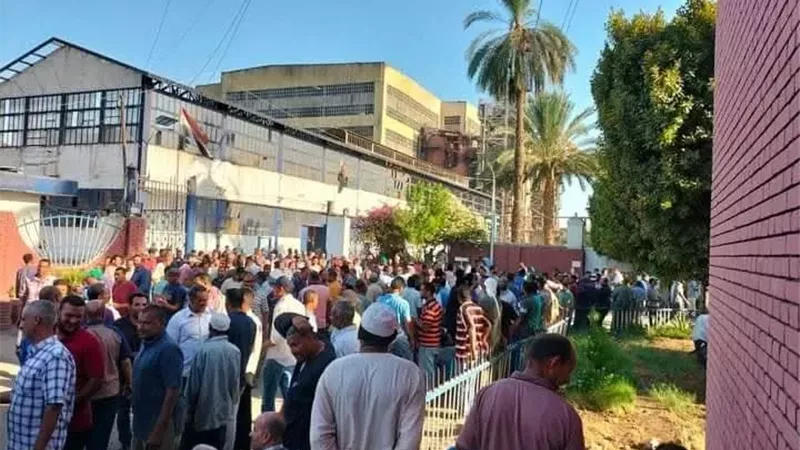 المعاناة مستمرة.. «إيجيبتكِ»  يكشف تفاصيل جديدة في أزمة عمال مصنع سكر إدفو