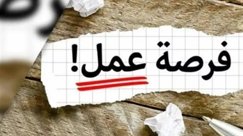 وظائف وزارة العمل 2025 بمرتبات تصل إلى 11 ألف جنيه للشباب