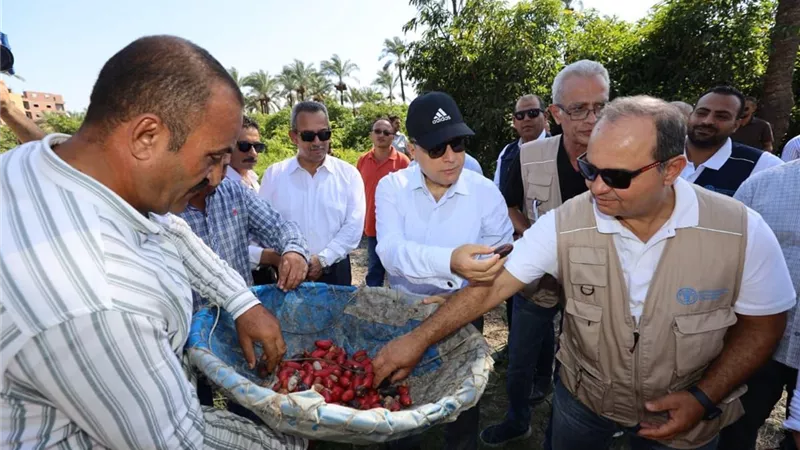 للحفاظ على الأصناف النادرة.. محافظ كفرالشيخ يفتتح أول مشتل نخيل فى« أبو شعلان» 