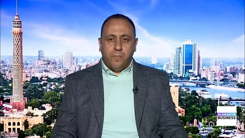 مينا رفيق: تعافي البورصة بدعم أجنبي وقطاعات واعدة تقود فرص الاستثمار| فيديو