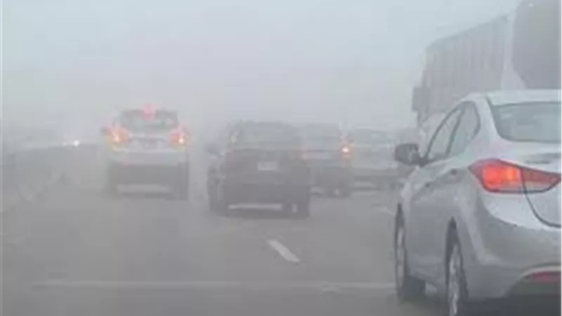 السلوك غير المنضبط يحولها إلى مأساة.. كيف يتعامل المرور مع الطرق الضبابية؟