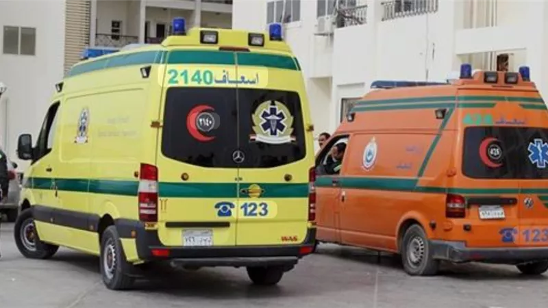 مأساة على طريق طملاي–منوف.. مصرع شاب من ذوي الهمم في حادث سير