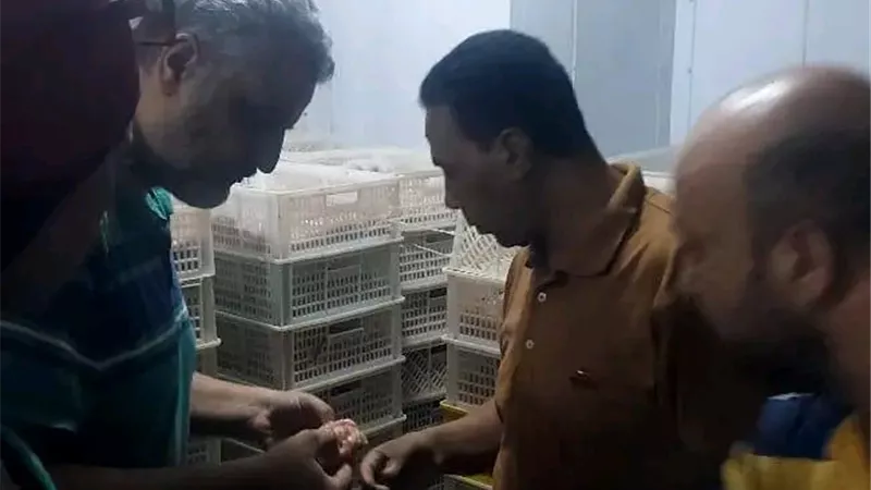 الدقهلية تضبط كميات كبيرة من اللحوم والدواجن الفاسدة بالأسواق