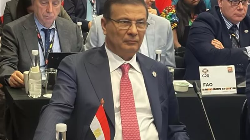 إنجاز علمي جديد.. 9 باحثين مصريين ضمن قائمة ستانفورد لأفضل علماء العالم