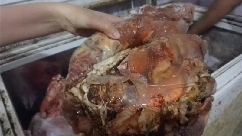 بيطري المنيا يضبط أكثر من 1.5 طن لحوم غير صالحة للاستهلاك الآدمي خلال حملة بمغاغة