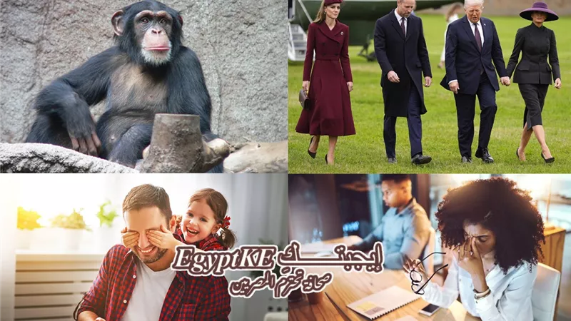 نشرة منوعات «إيجبتك».. هل «خرقت» زوجة ترامب البروتوكول الملكي البريطاني و تعرفي على طرق الوقاية من إجهاد العين الرقمي و الكحول جزء من النظام الغذائي للشمبانزي