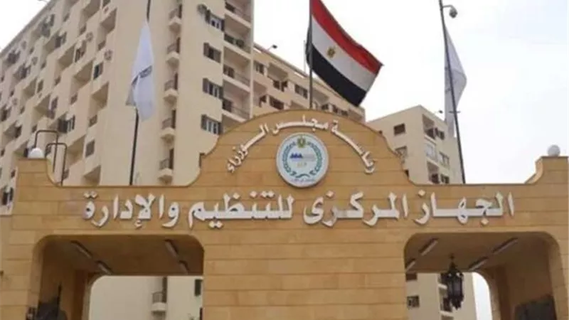 قبل ما تطلع إعارة.. إعرف حقوقك في قانون الخدمة المدنية