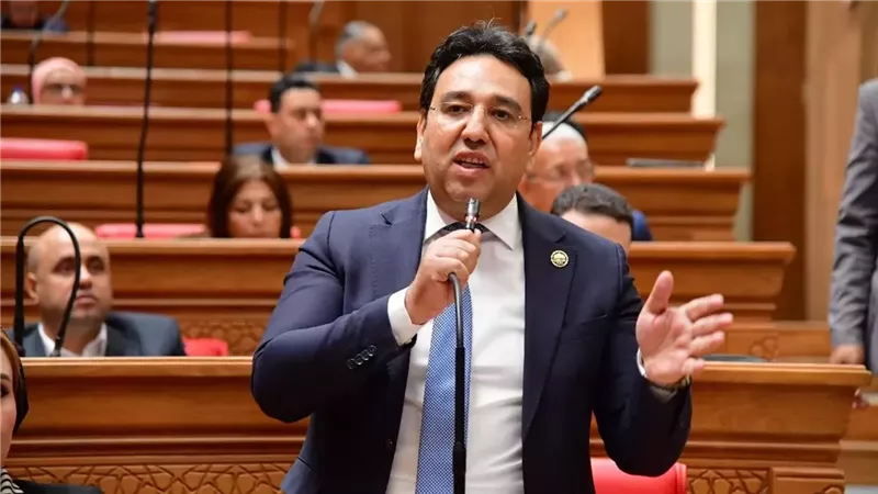 النائب أيمن محسب: مؤتمر حل الدولتين محطة تاريخية مهمة لبناء توافق دولي