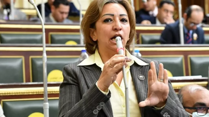 بعد أحداث نزلة جلف بالمنيا.. برلمانية: هذه الوقائع لا تحتمل التهاون أوالتسويف