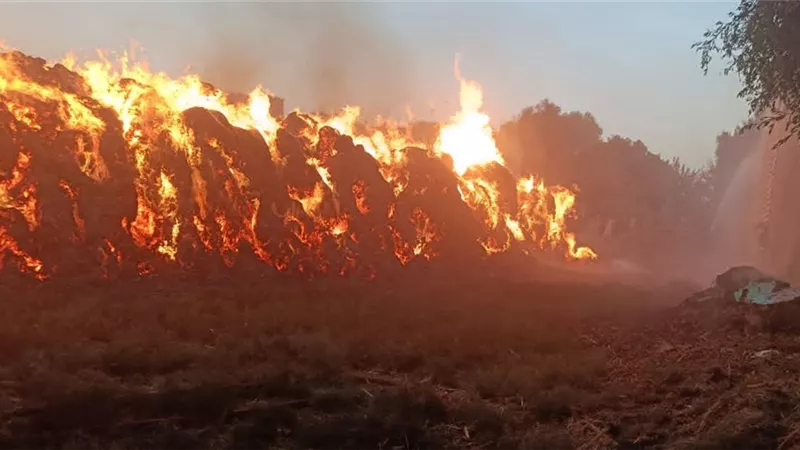 دون خسائر بشرية.. السيطرة على حريق نشب في عصارة قصب بمحافظة قنا 