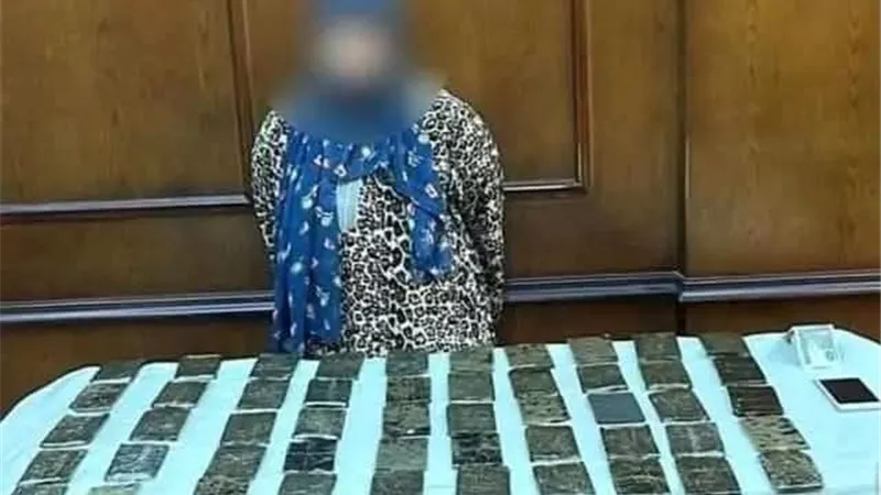ضبط 