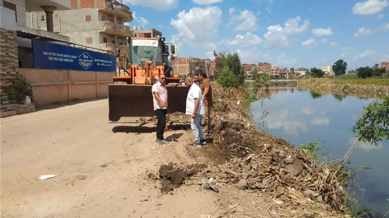  حملات مكثفة لرفع كفاءة النظافة وتجميل الشوارع والقرى بمركز ومدينة دسوق