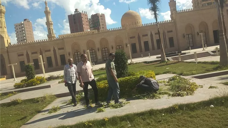 تجميل ساحة المسجد الدسوقي واستكمال أعمال التشجير ضمن مبادرة 100 مليون شجرة