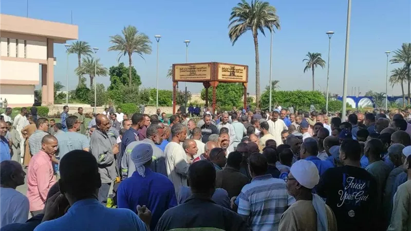 بعد صرف الأرباح السنوية والنظر للمؤقتين.. فض اعتصام شركة مصر للألومنيوم (خاص)