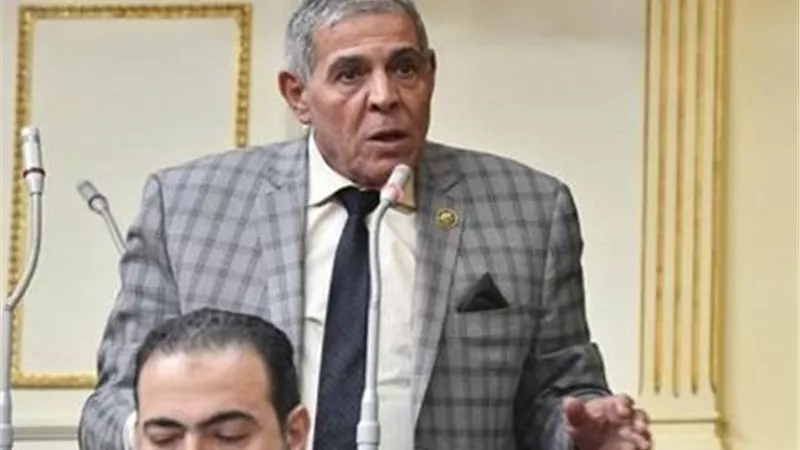 برلماني لـ«إيجبتكِ»: اعتراضات الرئيس على «الإجراءات الجنائية» للمصلحة العامة